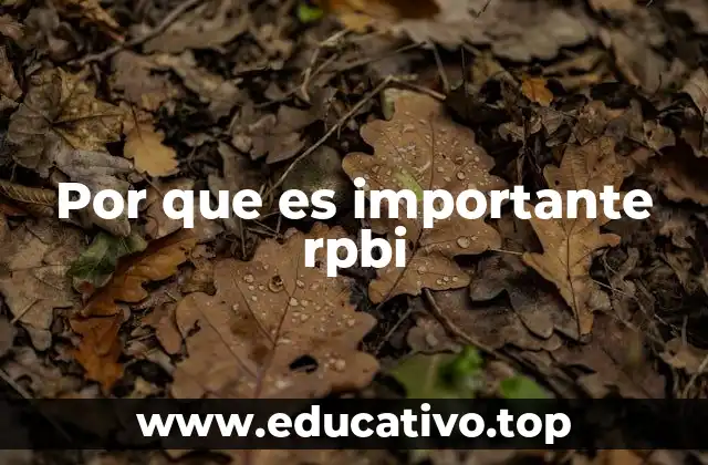 Por que es importante rpbi