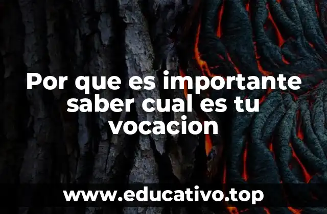 Por que es importante saber cual es tu vocacion