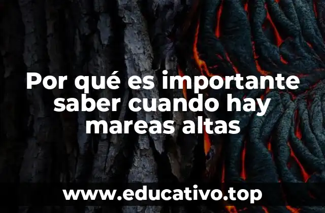 Por qué es importante saber cuando hay mareas altas