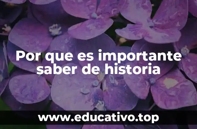 Por que es importante saber de historia