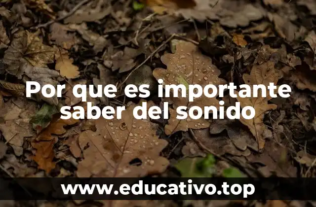 Por que es importante saber del sonido