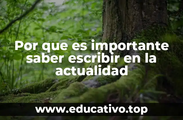 Por que es importante saber escribir en la actualidad