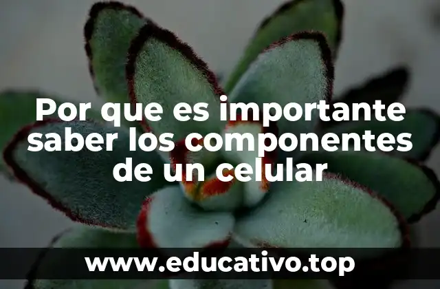 Por que es importante saber los componentes de un celular