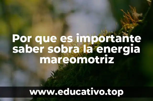 Por que es importante saber sobra la energia mareomotriz