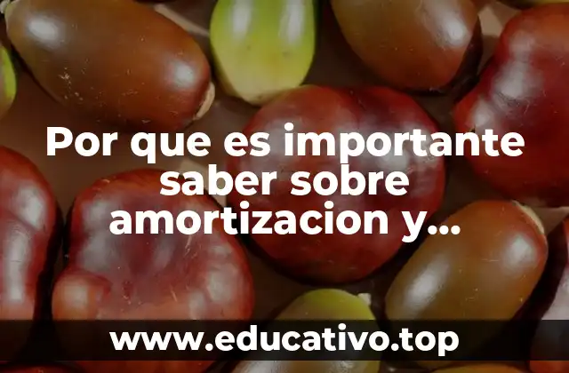 Por que es importante saber sobre amortizacion y depreciacion