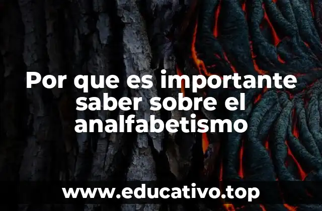 La importancia de la educación en la lucha contra el analfabetismo