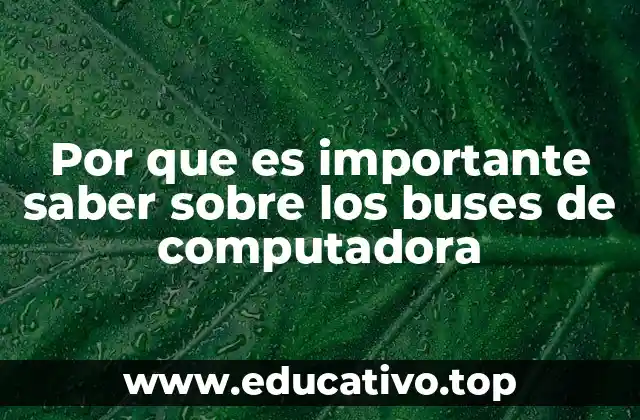 Por que es importante saber sobre los buses de computadora