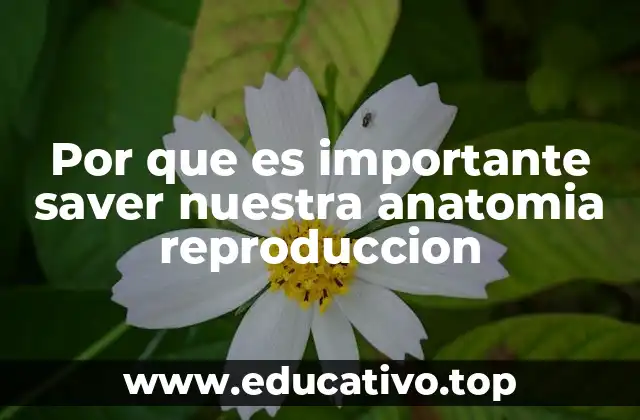 Por que es importante saver nuestra anatomia reproduccion
