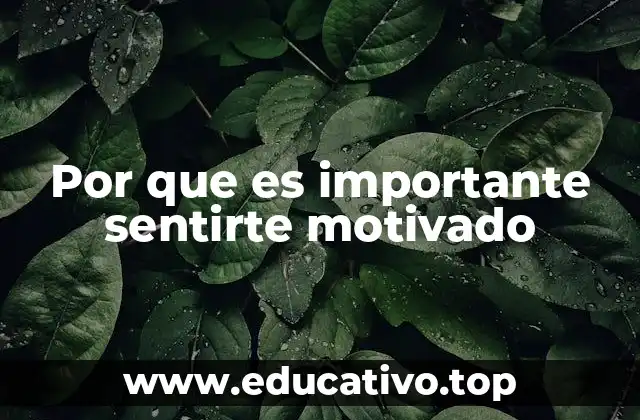 Por que es importante sentirte motivado
