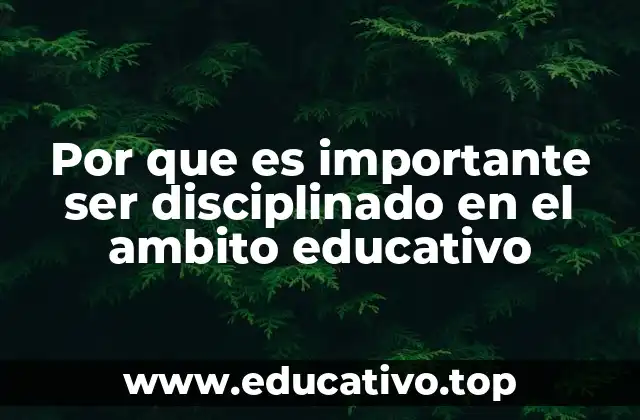 Por que es importante ser disciplinado en el ambito educativo