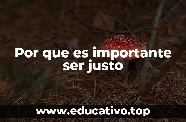 Por que es importante ser justo