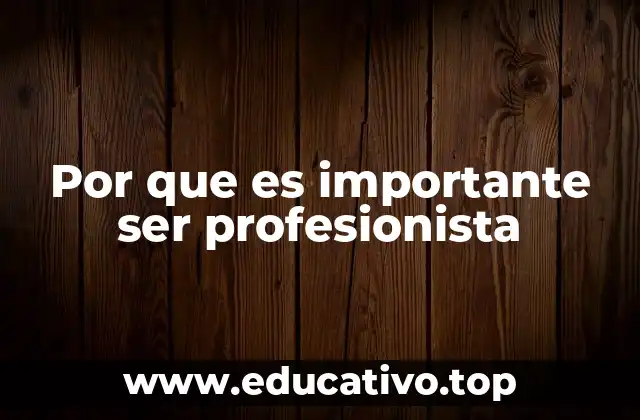 Por que es importante ser profesionista