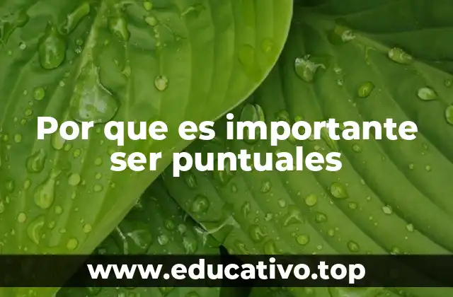 Por que es importante ser puntuales