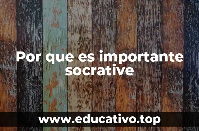 Por que es importante socrative
