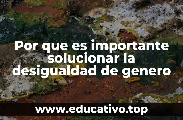 Por que es importante solucionar la desigualdad de genero