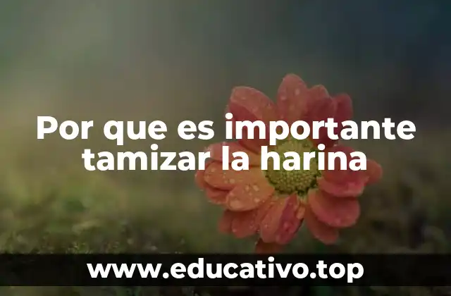 Por que es importante tamizar la harina