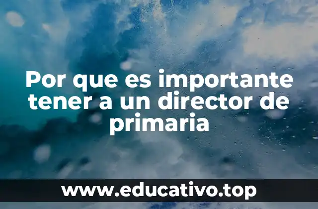 Por que es importante tener a un director de primaria
