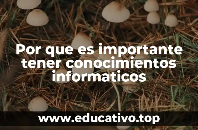 Por que es importante tener conocimientos informaticos