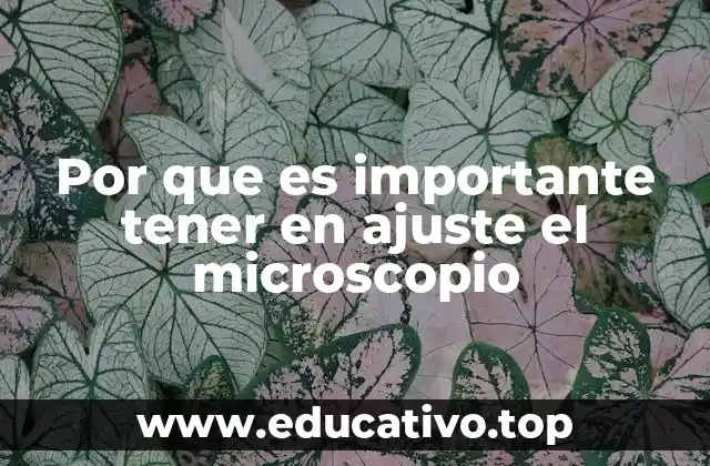 Por que es importante tener en ajuste el microscopio