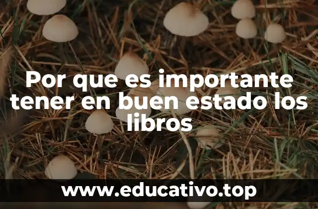 La importancia de la conservación del patrimonio bibliográfico