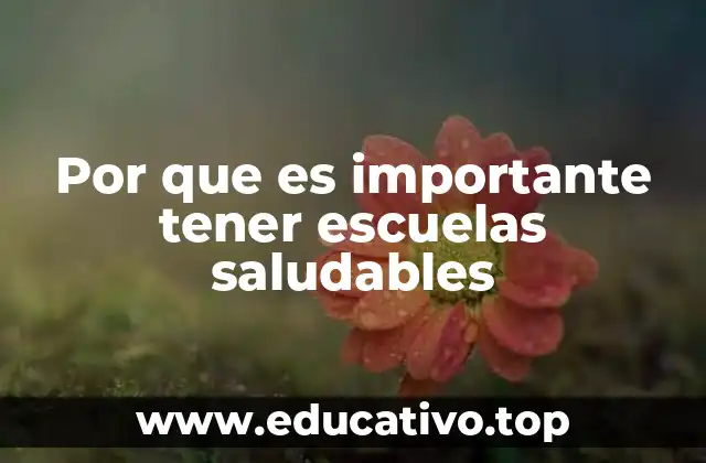 Por que es importante tener escuelas saludables