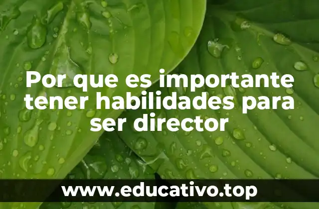 Por que es importante tener habilidades para ser director
