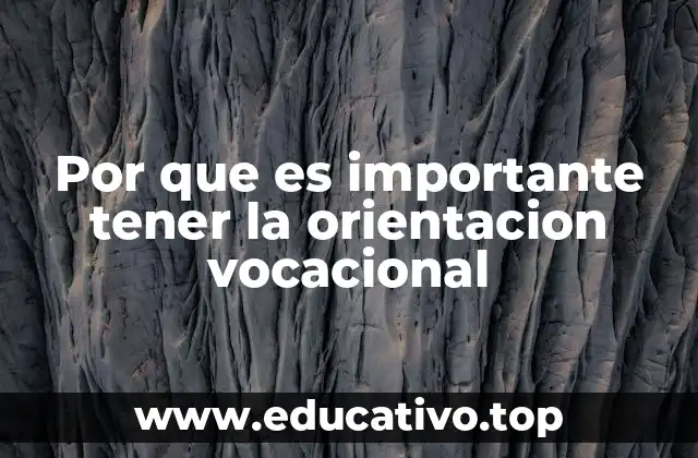 Por que es importante tener la orientacion vocacional