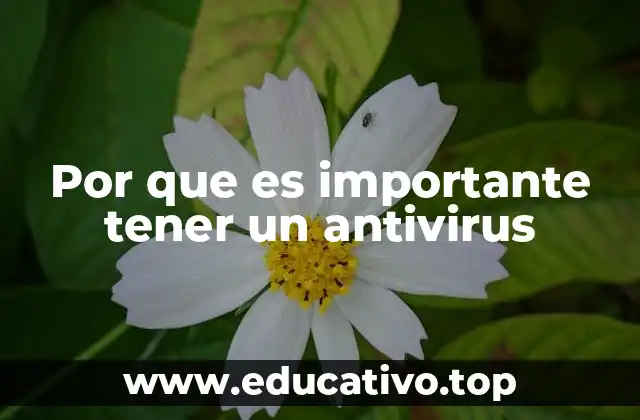 Por que es importante tener un antivirus