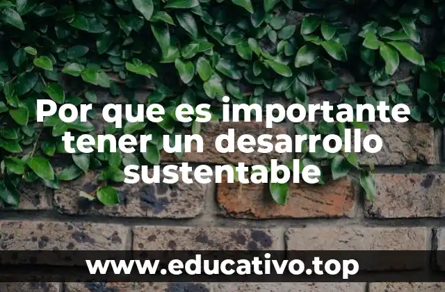 Por que es importante tener un desarrollo sustentable