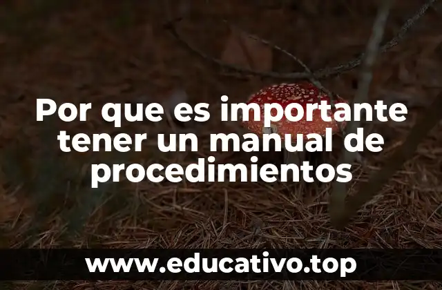 Por que es importante tener un manual de procedimientos