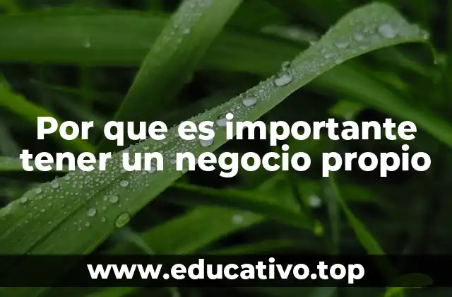 Por que es importante tener un negocio propio