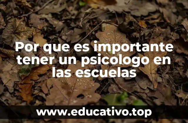 Por que es importante tener un psicologo en las escuelas