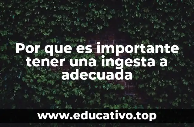 Por que es importante tener una ingesta a adecuada