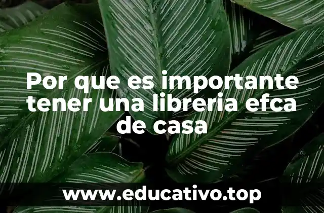 Por que es importante tener una libreria efca de casa