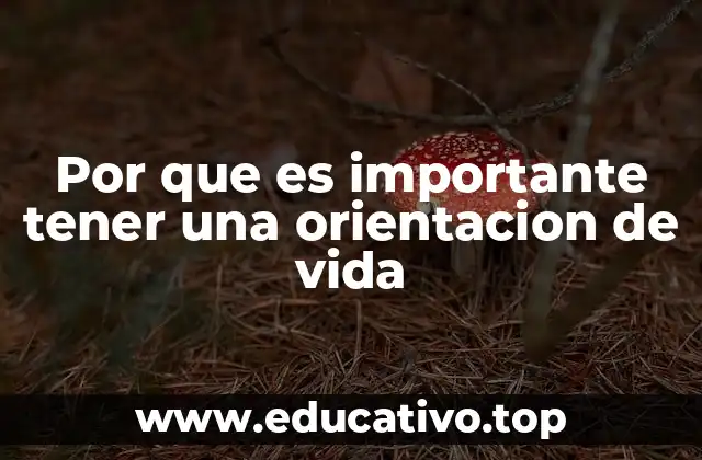 Por que es importante tener una orientacion de vida