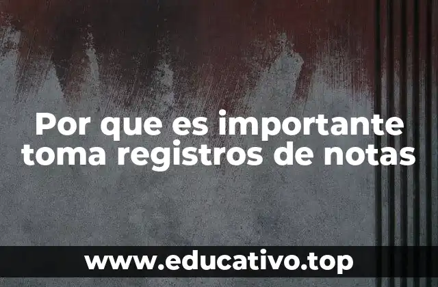 Cómo la organización de la información mejora la productividad