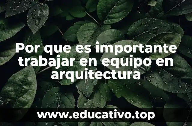 Por que es importante trabajar en equipo en arquitectura