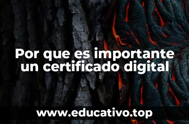 Por que es importante un certificado digital