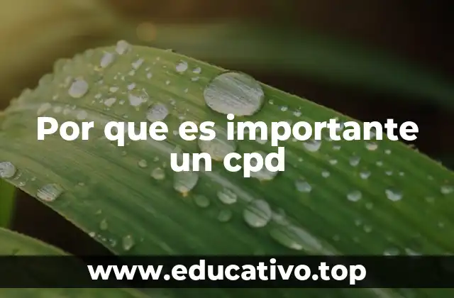 Por que es importante un cpd