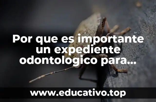 Por que es importante un expediente odontologico para criminalistica