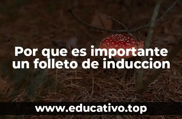 Por que es importante un folleto de induccion