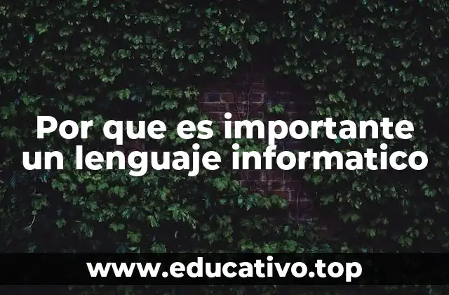 Por que es importante un lenguaje informatico