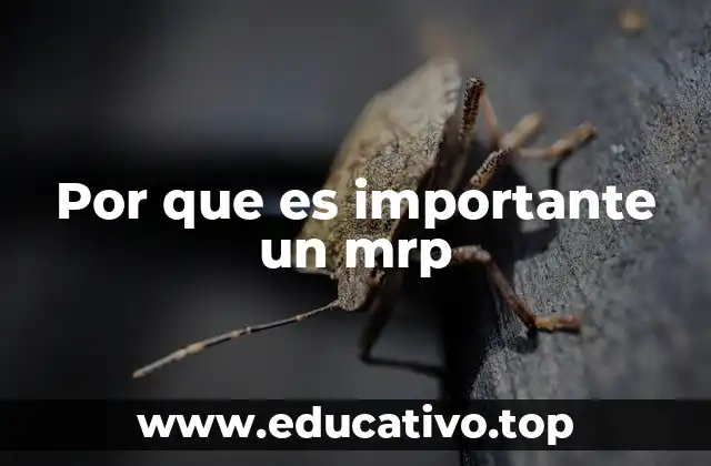 Por que es importante un mrp