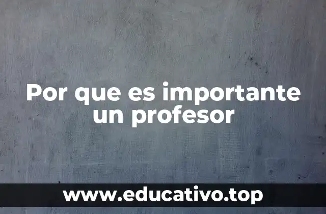 Por que es importante un profesor