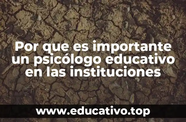 Por que es importante un psicólogo educativo en las instituciones