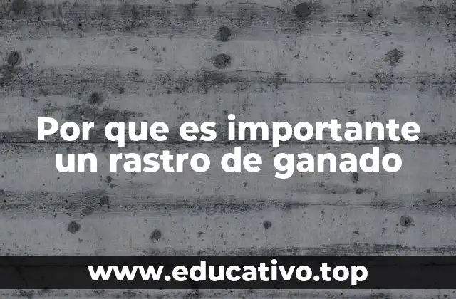 Por que es importante un rastro de ganado