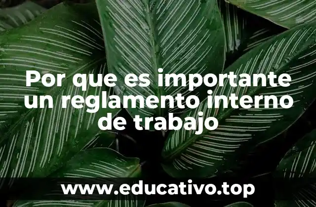 Por que es importante un reglamento interno de trabajo