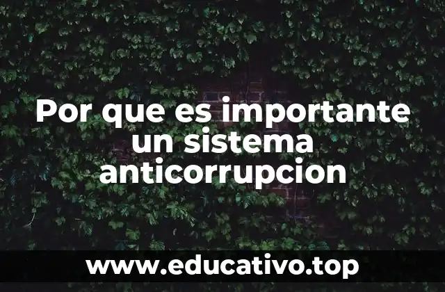 Por que es importante un sistema anticorrupcion
