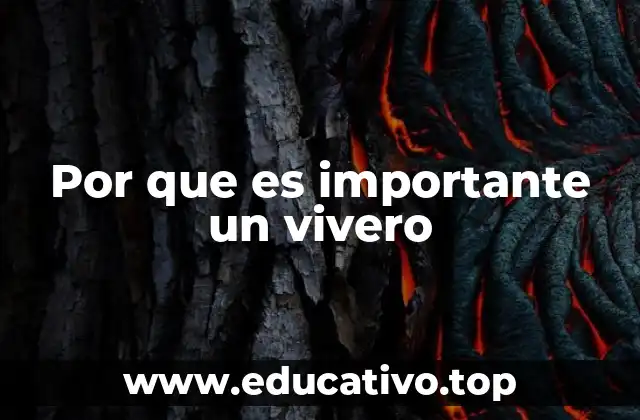 Por que es importante un vivero