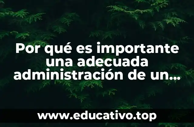 Por qué es importante una adecuada administración de un proyecto